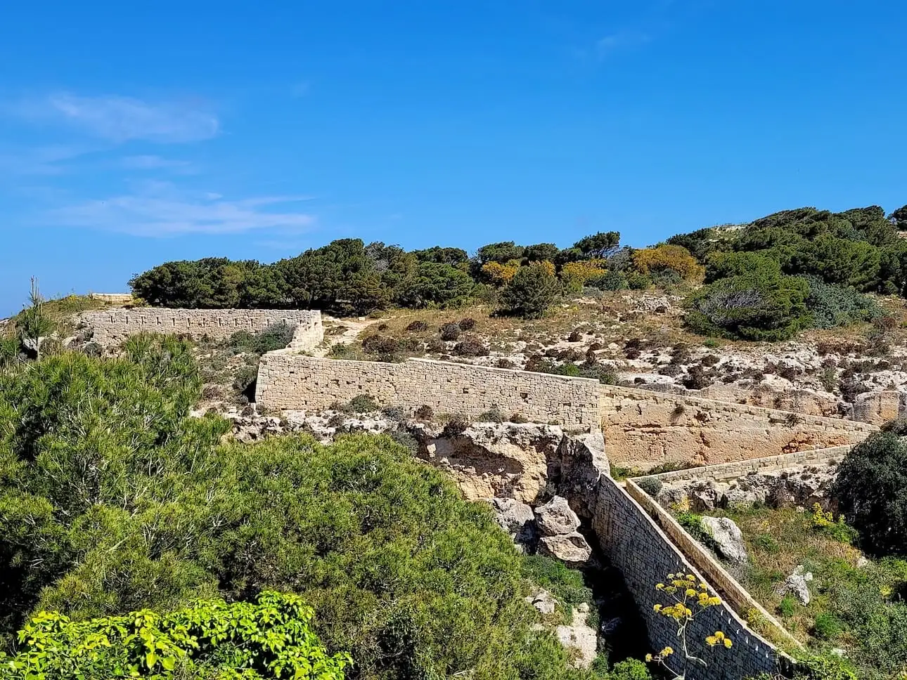 Murallas de fortificación de las Victoria Lines con vegetación alrededor