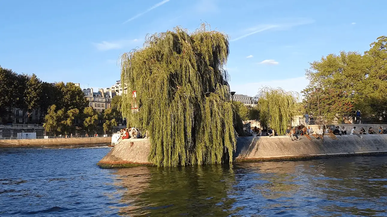 Muelle de la Isla de la Cité de París y Sena