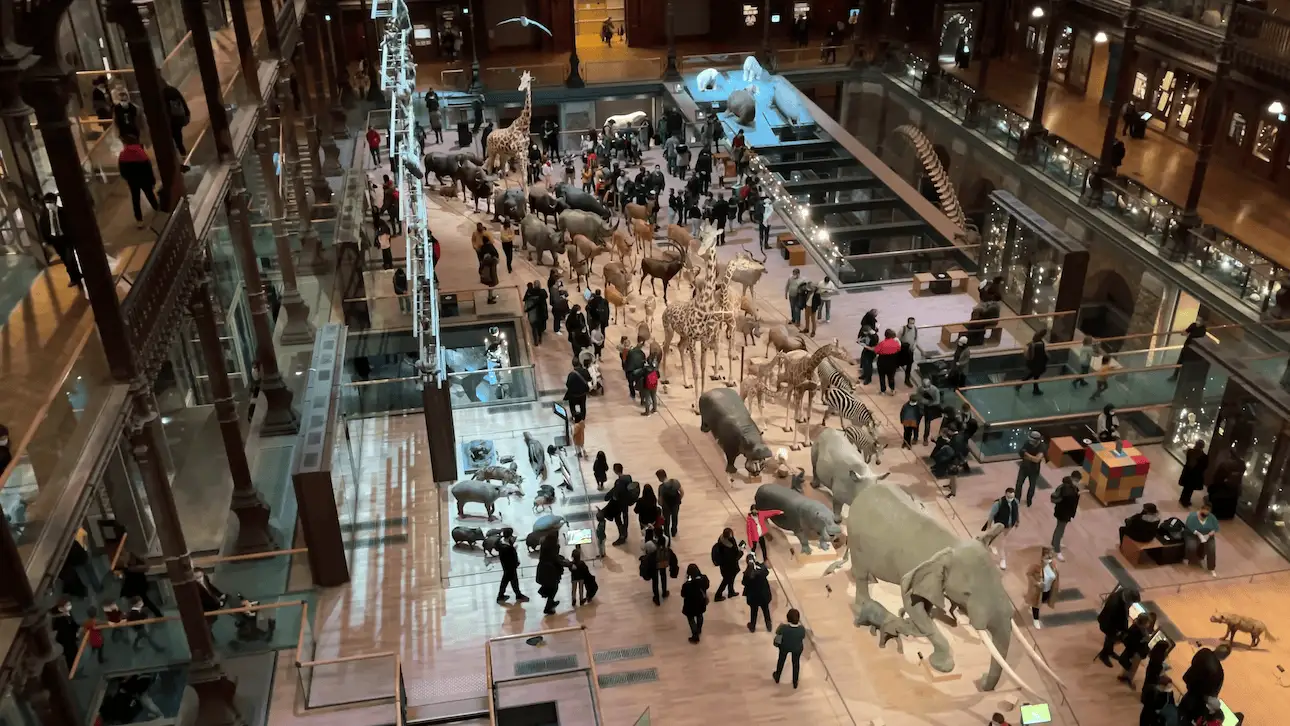 Fila de animales en la Galería de la Evolución del Jardín de las Plantas