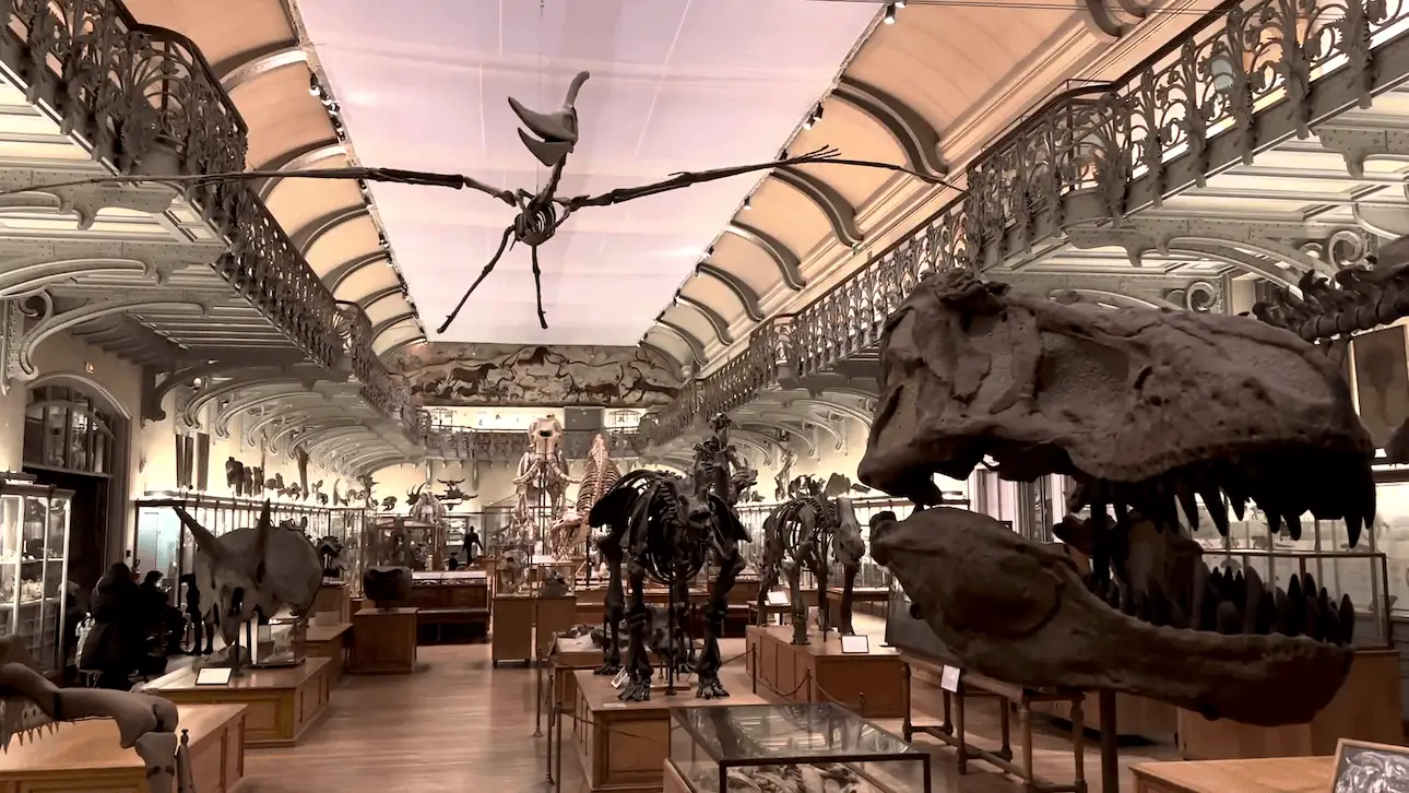 Esqueletos de dinosaurios en la galería de paleontología de París