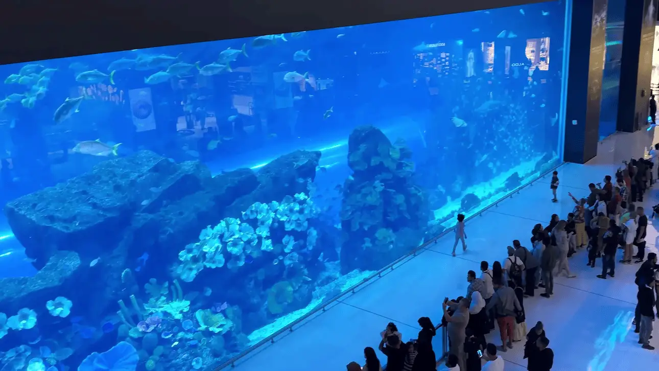 Acuario dentro del Dubai Mall