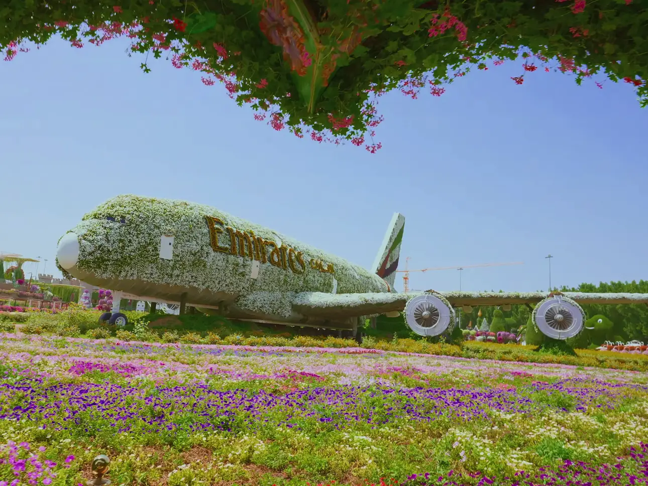 Avión Airbus en el Miracle Garden de Dubái