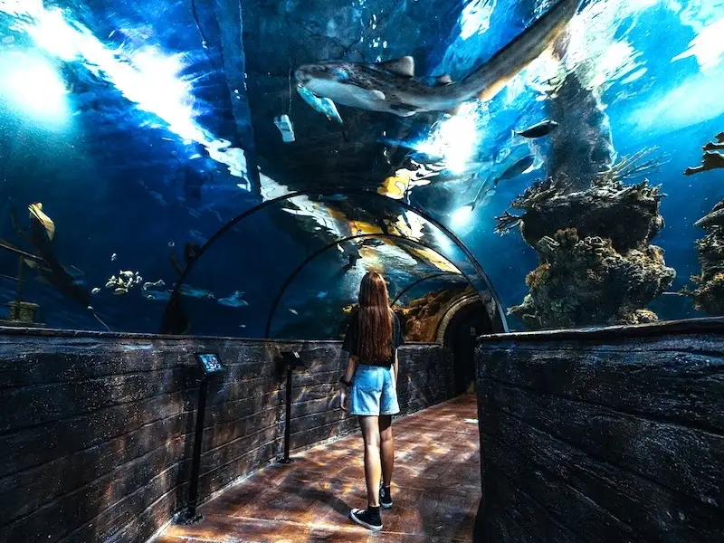 Jeune fille dans la galerie de l'aquarium de Malte