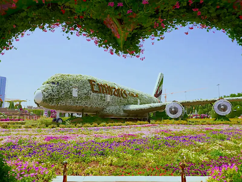 Airbus hecho de flores en el Miracle Garden de Dubái