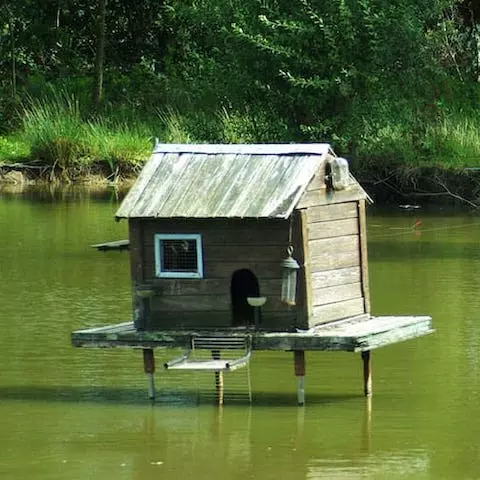 Cabin on a lake at Étang Campsite