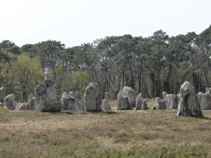Trentaine de petits menhirs à Carnac, site de Kerlescan