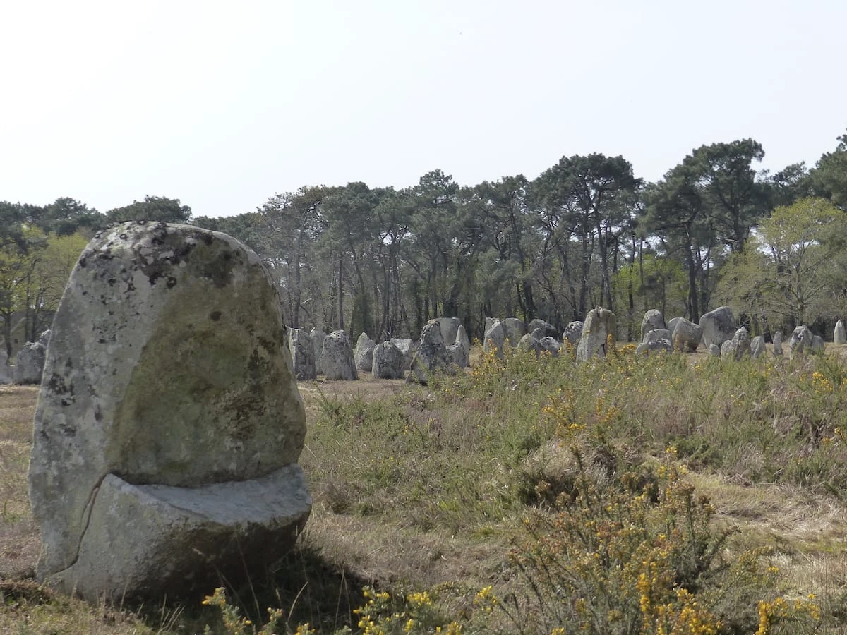 Rows of menhirs at the Kerlescan Alignments in Carnac