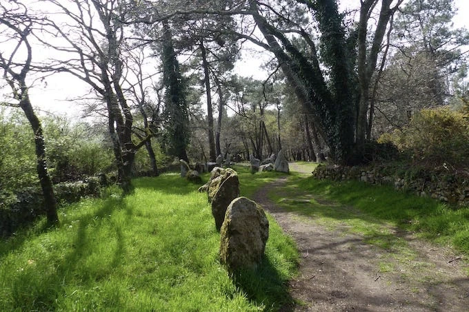 Menhirs in the grass and beneath the woods